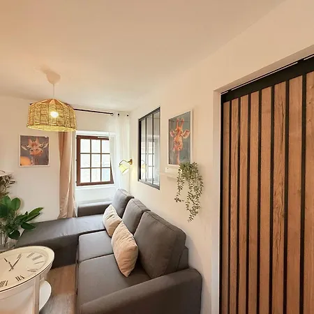 Cosy Corail - 1ch - Place Verdun Pau