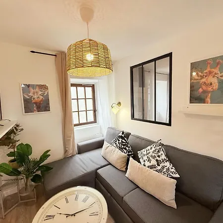 Cosy Corail - 1ch - Place Verdun * Pau
