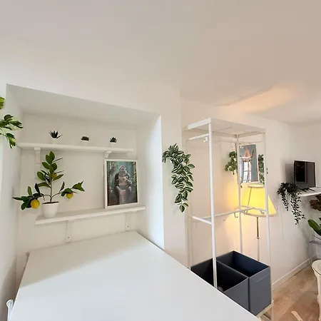 Cosy Corail - 1ch - Place Verdun Pau
