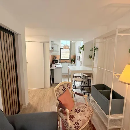 Cosy Corail - 1ch - Place Verdun * Pau