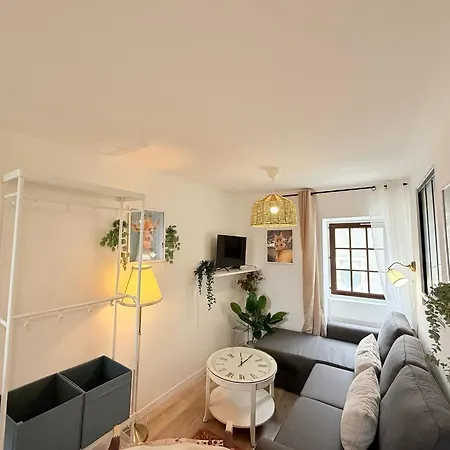 Cosy Corail - 1ch - Place Verdun Pau